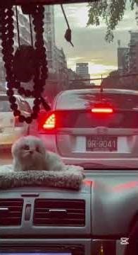 🎬 My Weekend Schedule | Cinematic Vlog ✨