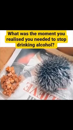 🤣🤣🤣 | Best of British Comedy