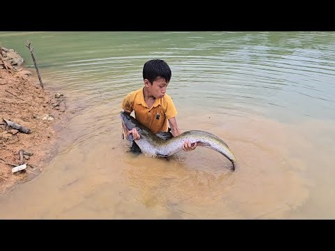FULL VIDEO 30days Highland boy stack rocks to block the stream, trap fish, make fish traps.