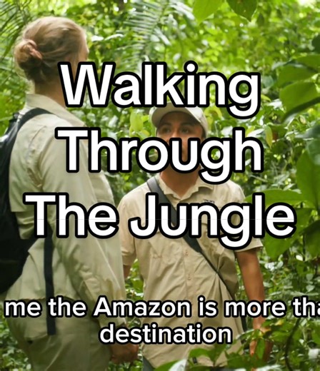 Walking through the Amazon is never the same twice. 🌿 Every trail hides new sounds, wildlife, and stories waiting to be discovered. As a local jungle guide, sharing the beauty and secrets of this incredible rainforest with travelers from around the world is more than my job — it’s my passion. Welcome to the real Amazon. 🐒🌳 #AmazonRainforest #AmazonGuide #JungleAdventure #Iquitos #Peru