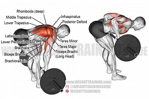 Bent-over barbell row exercise guide and video | Weight Training Guide
