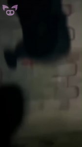 The Haunted Shack. 👻 #Haunted | Slapped Ham