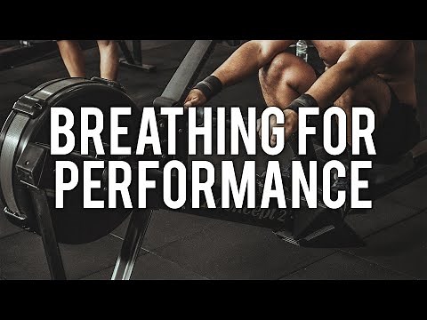 How To Breathe Properly | Brian Mackenzie | Modern Wisdom Podcast 121