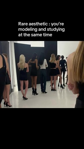 Modeling with Rare Aesthetic for Unique Style