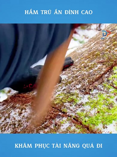 Xây Dựng Hầm Trú Ẩn Hoang Dã Tại Siberia