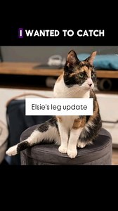 78K views · 15K reactions | We would not have known about her pain...