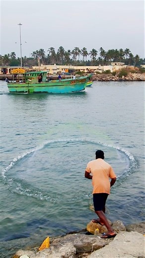 DescriptionXcast net fishing, Catch fish get a lot of fish in theRiver #fishing #shorts #video #net