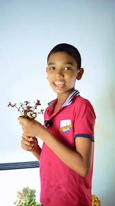 විනාඩි 10 න් හදපු tank Setup එක | Asian Fish Export