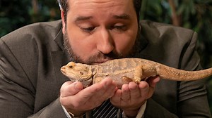 Cyril Detaeye poussé dans ses retranchements - RTBF Actus