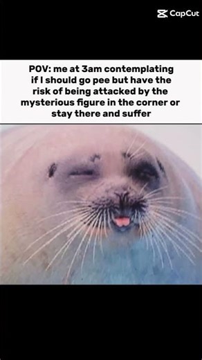 it's always the foot tickler :( #seal