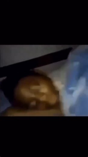 𝗟𝗢𝗡𝗘 𝗥𝗘𝗔𝗣𝗘𝗥 | 𝟬𝟭.𝟮𝟭.𝟮𝟲 on Instagram: "Trees in the forest are actually talking to each other via an “Underground Internet.” 🌳 Known as the “Wood Wide Web,” this network is made of tiny fungal threads. Trees use it to swap nutrients and warn each other about predators. If one tree is attacked by bugs, it sends a chemical SOS so neighbors can prep their defenses. Older “Mother Trees” even send sugar to younger, weaker saplings to help them survive. Nature is far more connected tha