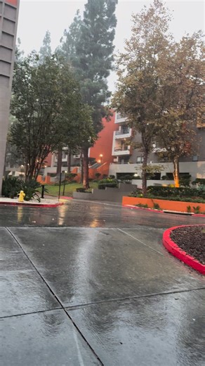 Good morning beautiful rainy day Los Angeles California | Life in America