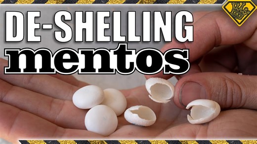 Deep Fried Bubble Gum? We Try It To See What Happens