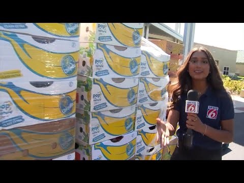 Southeastern Food Bank’s “Spring Food for Families Food Distribution”
