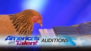Chicken Plays America the Beautiful on Piano - 1Funny.com
