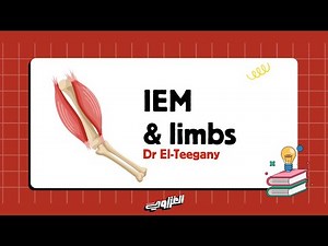 IEM & limb development | embryology | MSS