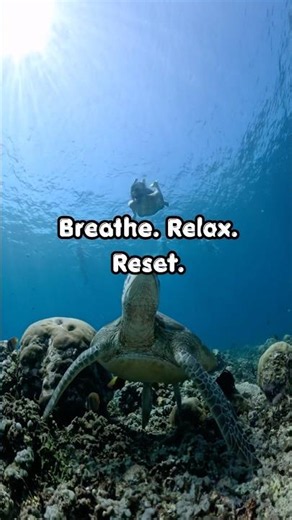 Relax Beneath the Sea | Peaceful Ocean Soundscapes for Sleep, Focus & Meditation #calmingsounds