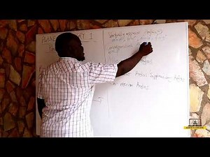 SHS 1 Core Mathematics | Parallel Lines