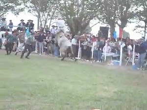 El indio Duarte ! | Abel Vilches