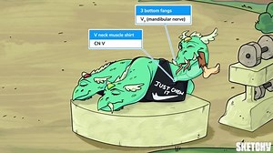 Muscles of Mastication - Free Sketchy Medical Lesson