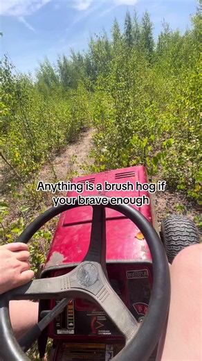 Anything is a brush hog if you're brave enough — mower hacks