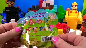 Best PAW PATROL Educational Learning Videos for Children Compilation | Fizzy Fun Toys