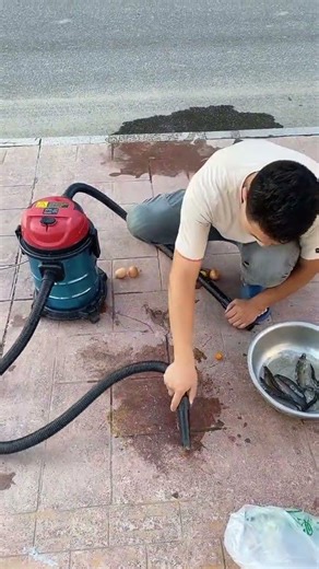 Hút Nhanh – Hút Sạch – Hút Khỏe Với Dòng Máy Hút Bụi Công Suất Cao Kumisai