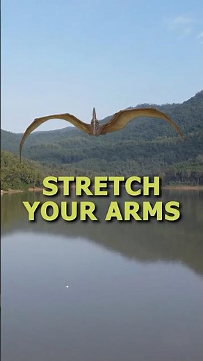 How big were Pterodactyls 📏🤔