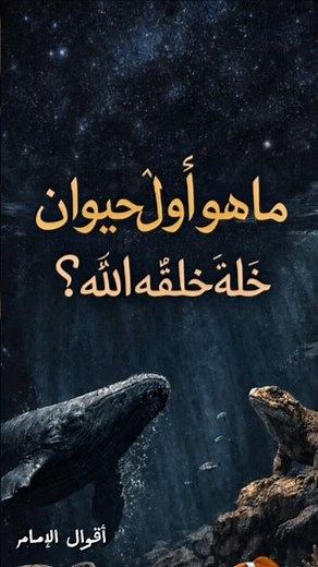What was the first animal God created? #IslamicStudies #StoriesOfTheProphets #Islam