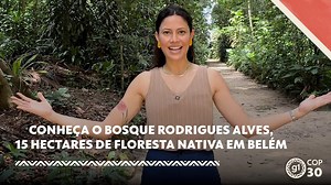 Conheça o Bosque Rodrigues Alves, 15 hectares de floresta nativa em Belém