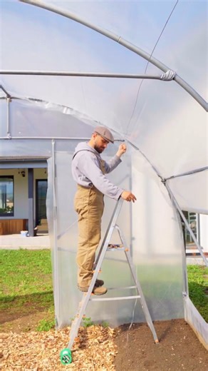 How to Set Up Trellis Wires in a Polytunnel | Garden DIY