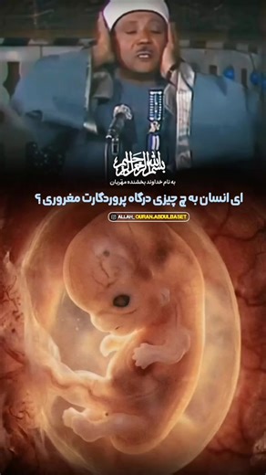 lifer (@lifer9520)’s videos with original sound - lifer