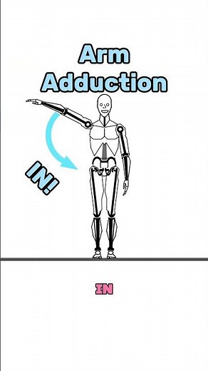 Biomechanics: Abduction and Adduction