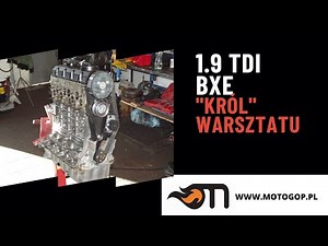 About the "king" of Polish workshops, i.e. the BXE 1.9 TDI engine