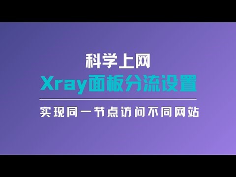 新版xray面板设置分流，实现同一节点用不同IP访问不同的网站，vless/vmess使用shadowsocks或者socks节点分流，访问 chatgpt/PayPal/Facebook#一瓶奶油