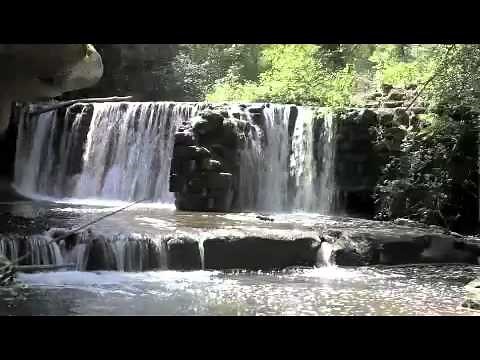 10 hours Relaxation tinnitus sounds