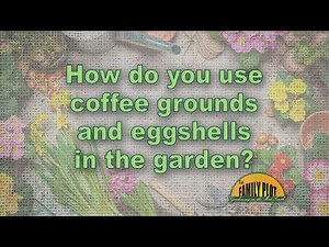 How do you use coffee grounds and eggshells in the garden?