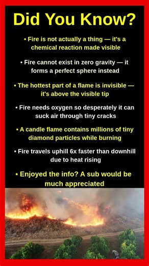 Fire Facts That Will Completely Shock You 🔥😱