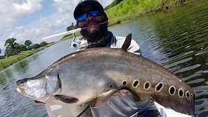 Big Exotic Fish on Micro Pen Rod