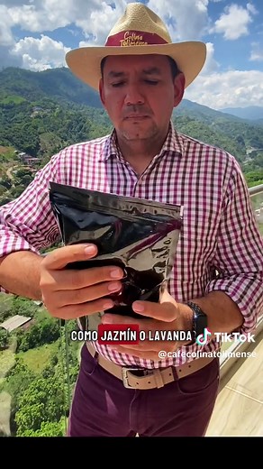 Café Geisha: Sabor Exquisito y Cómo Reconocerlo