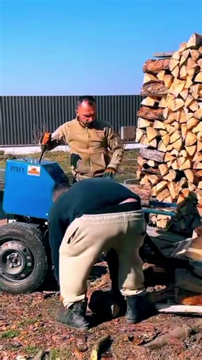 Best Log Splitter Firewood Processing