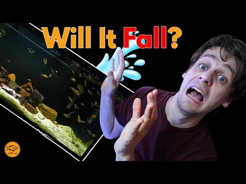 How to Keep An Aquarium From Falling