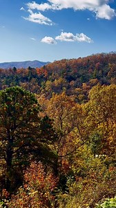 A beautiful drive along the Blue Ridge Parkway near Asheville, NC on November 1, 2025. #asheville #avl #blueridgemountains #nps #autumnvibes #blueridgeparkway #fall #nature #landscapephotography #ashevilleartist #ashevillephotographer #fallvibes #autumnleaves #leafpeeping #lovewhereyoulive #wnc #wncmountains #appalachia #ashevillephotographer | Kim Kinsella