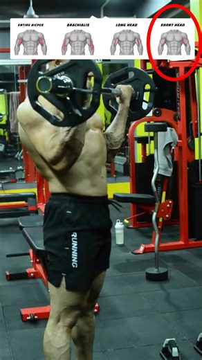 26K views · 311 reactions |  Bicep Exercises – Differences in...