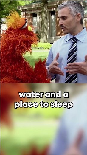 Sesame Street Explains: What is a Habitat? #shorts