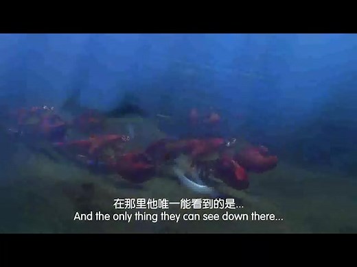海底总动员(英语版) 超清(720P)