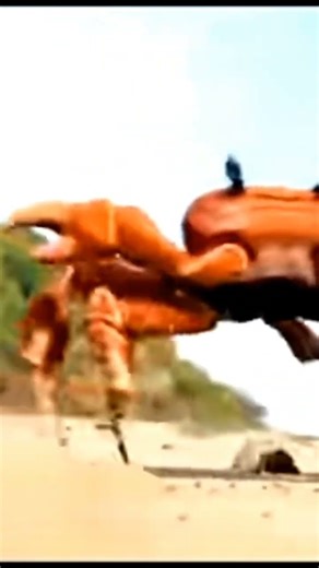 crab rave edit #housemusic #dj #house #remix #music #тотя