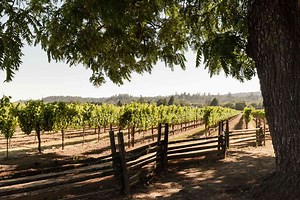 This Small Town Is the Jewel of California Wine Country, With Some of the Best Restaurants and Resorts in the World