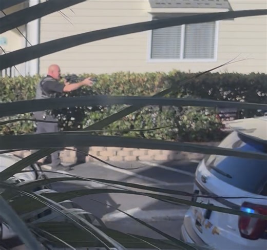 Pursuit ends with suspect’s arrest in North Myrtle Beach