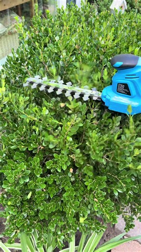 Secret Tips for Using a Cordless Trimmer in Gardening